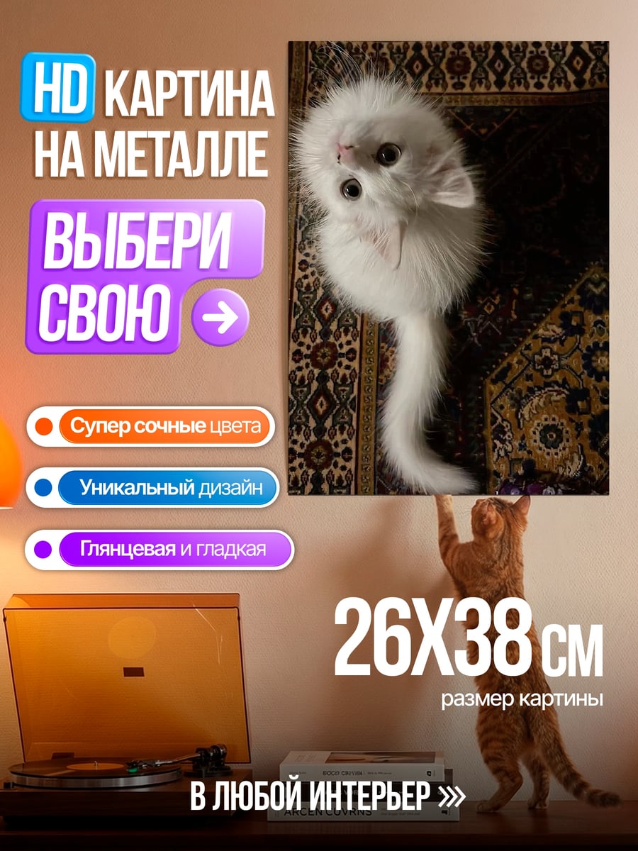 Картина на металле Пушистый белый котенок