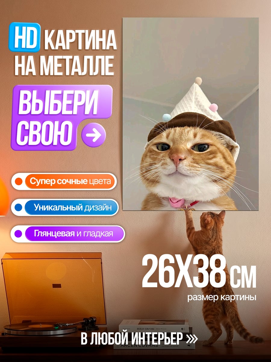Картина на металле Кот в шляпе