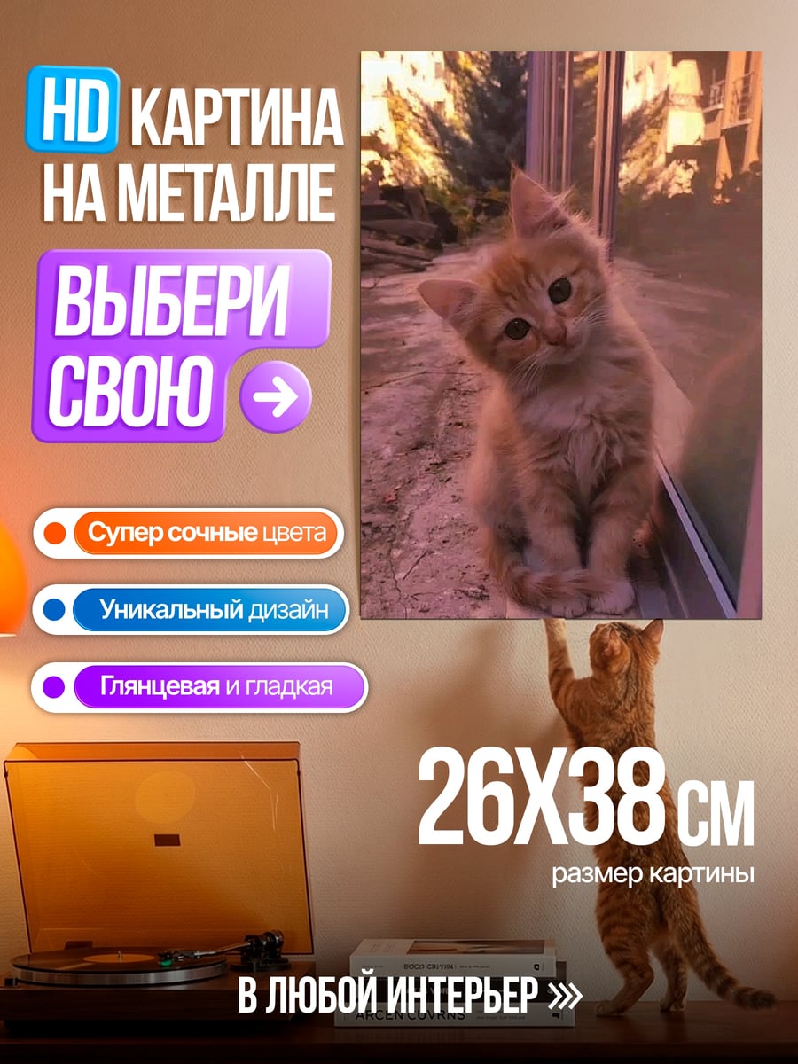 Картина на металле Рыжий котенок