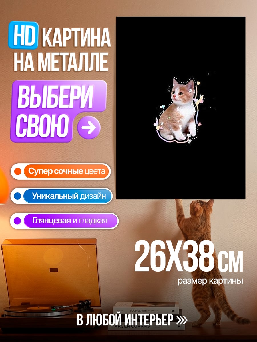 Картина на металле Котёнок на чёрном фоне