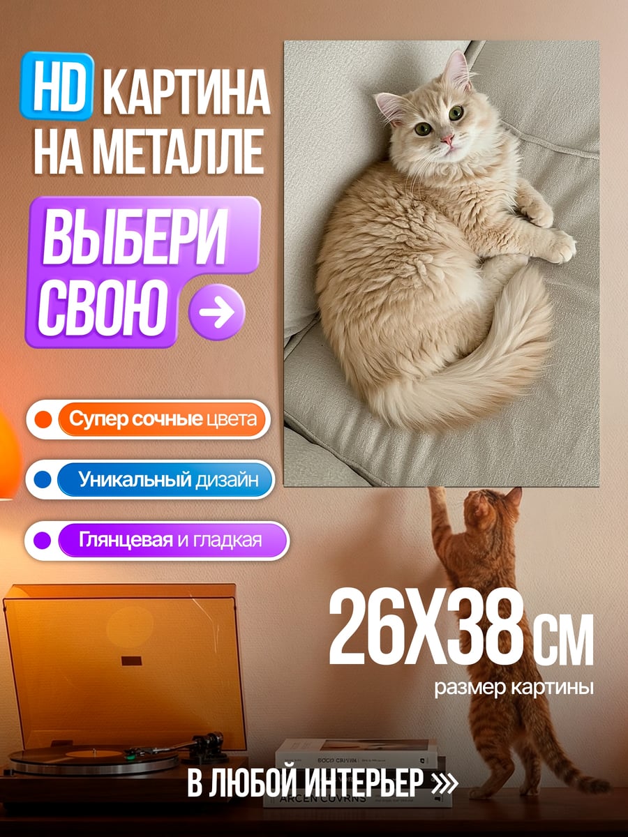 Картина на металле Рыжий кот на диване