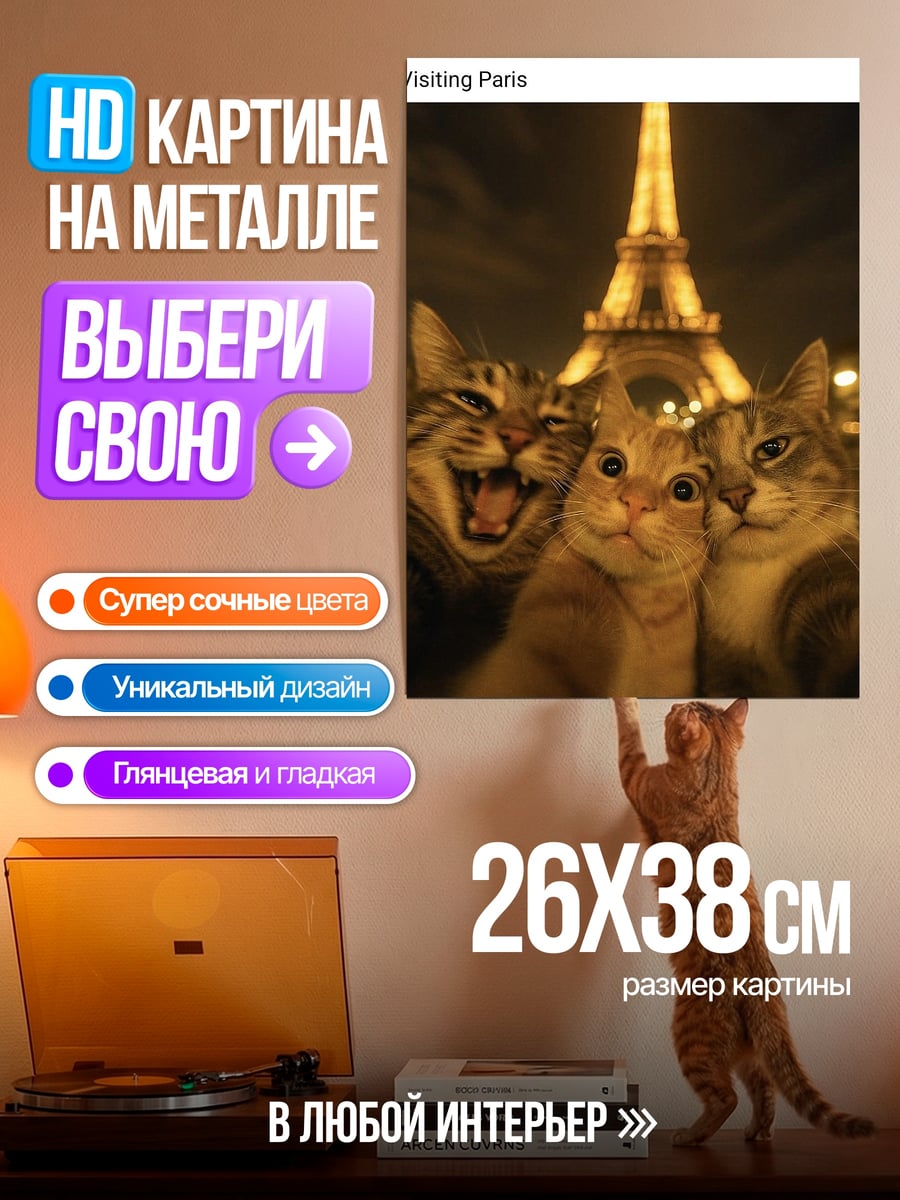Картина на металле Коты в Париже