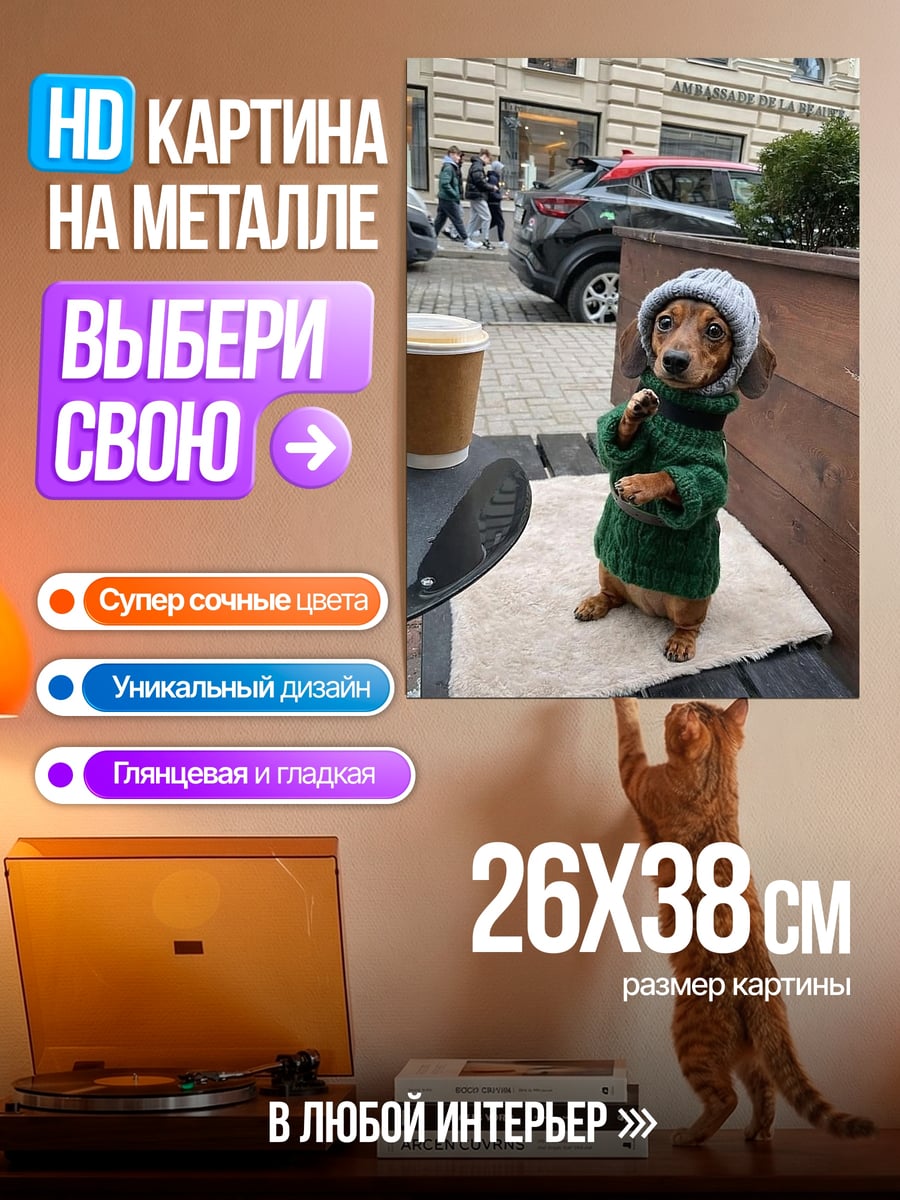 Картина на металле Такса в свитере