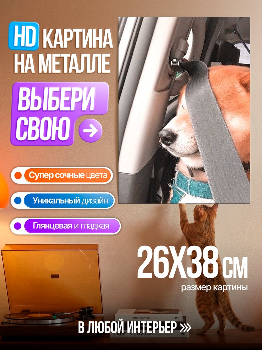 Картина на металле Собака в машине