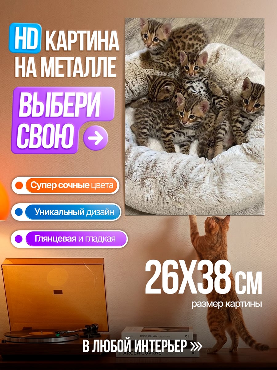 Картина на металле Котята бенгалы на подушке