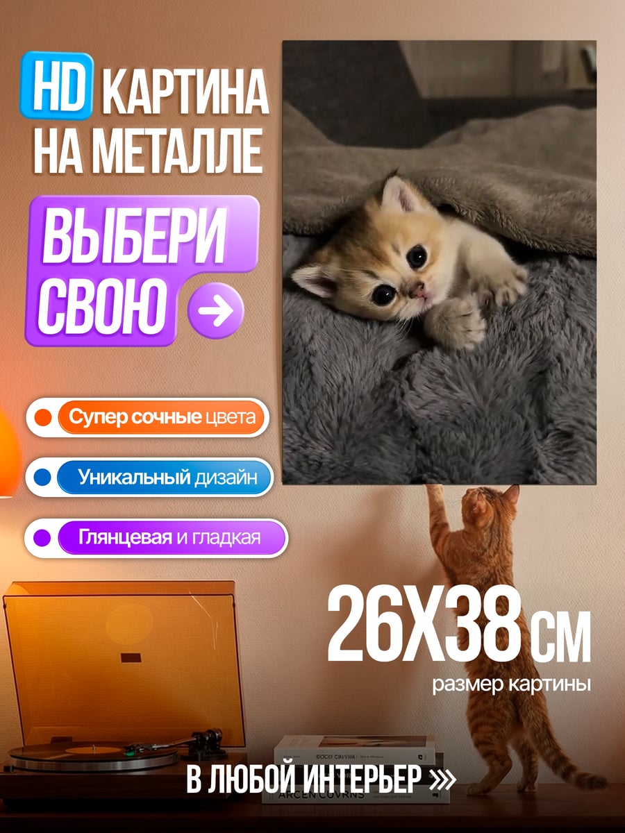 Картина на металле Котёнок под одеялом