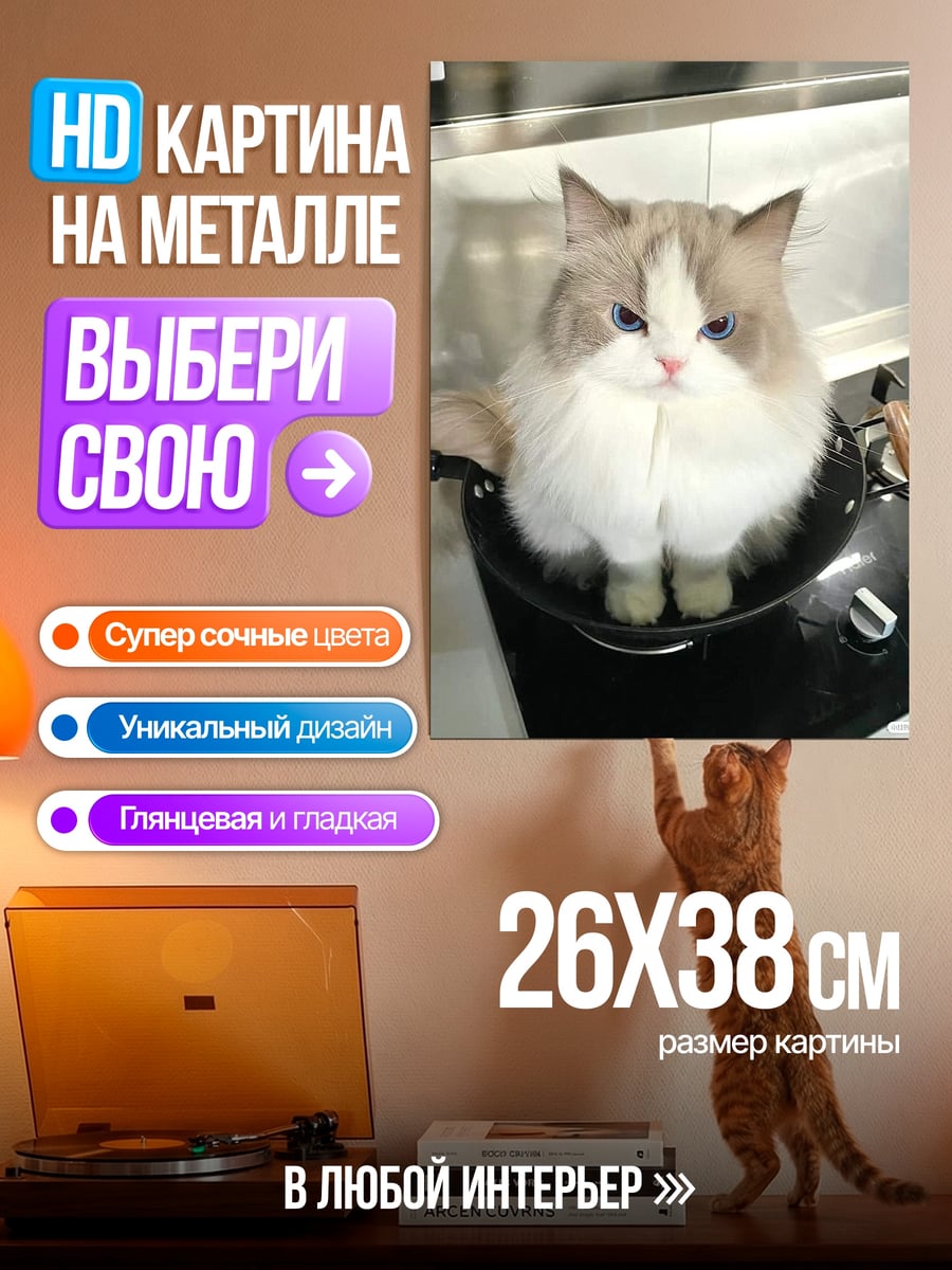 Картина на металле Кот в сковороде