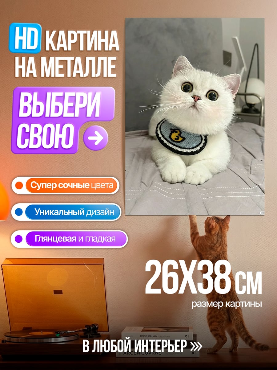 Картина на металле Белый котенок в слюнявчике