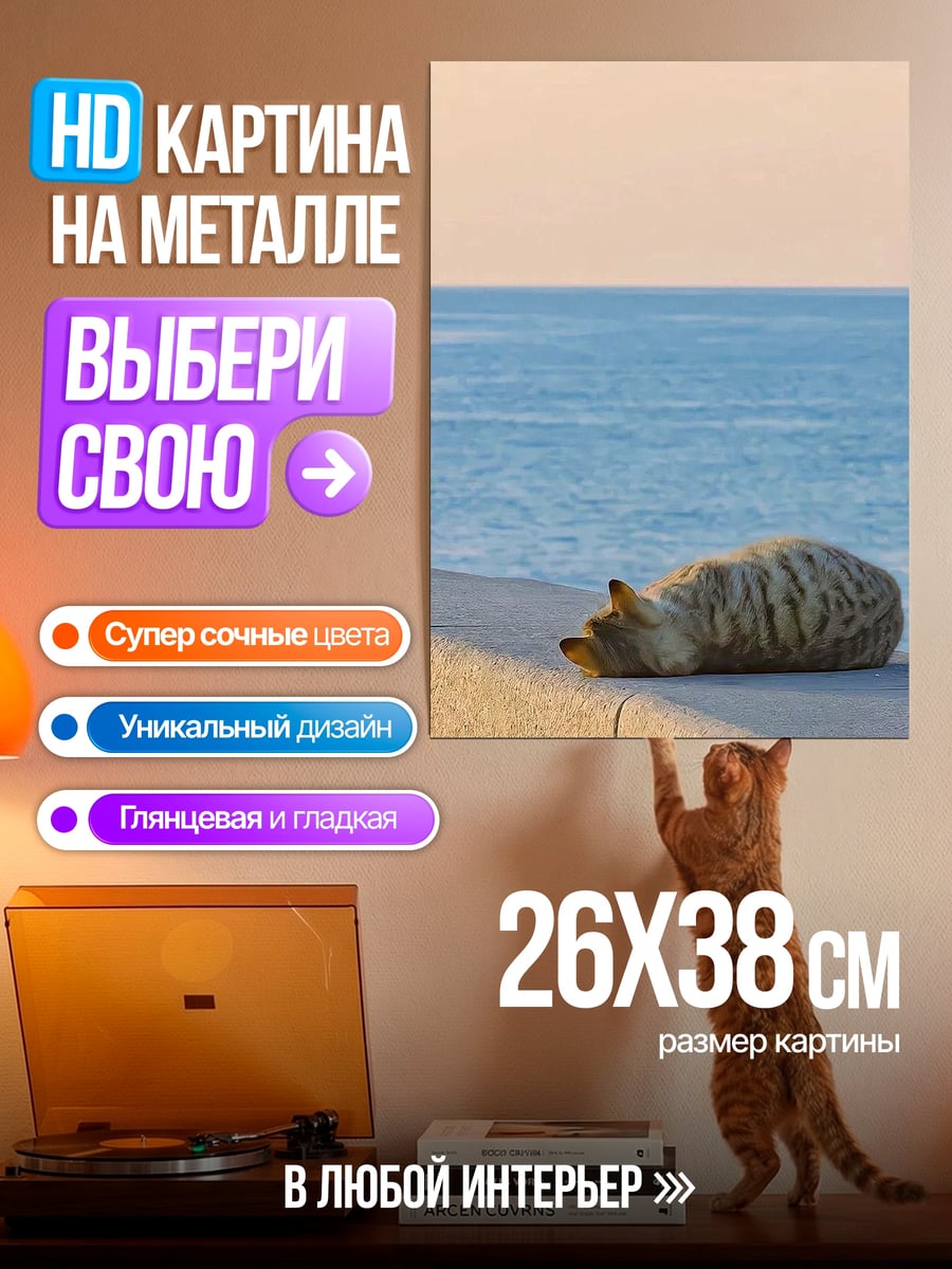 Картина на металле Кот спит у моря