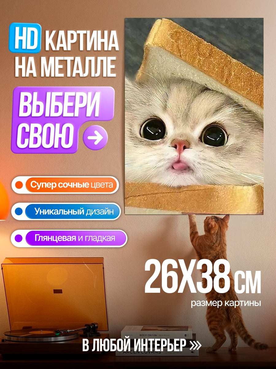 Картина на металле Кот в сэндвиче