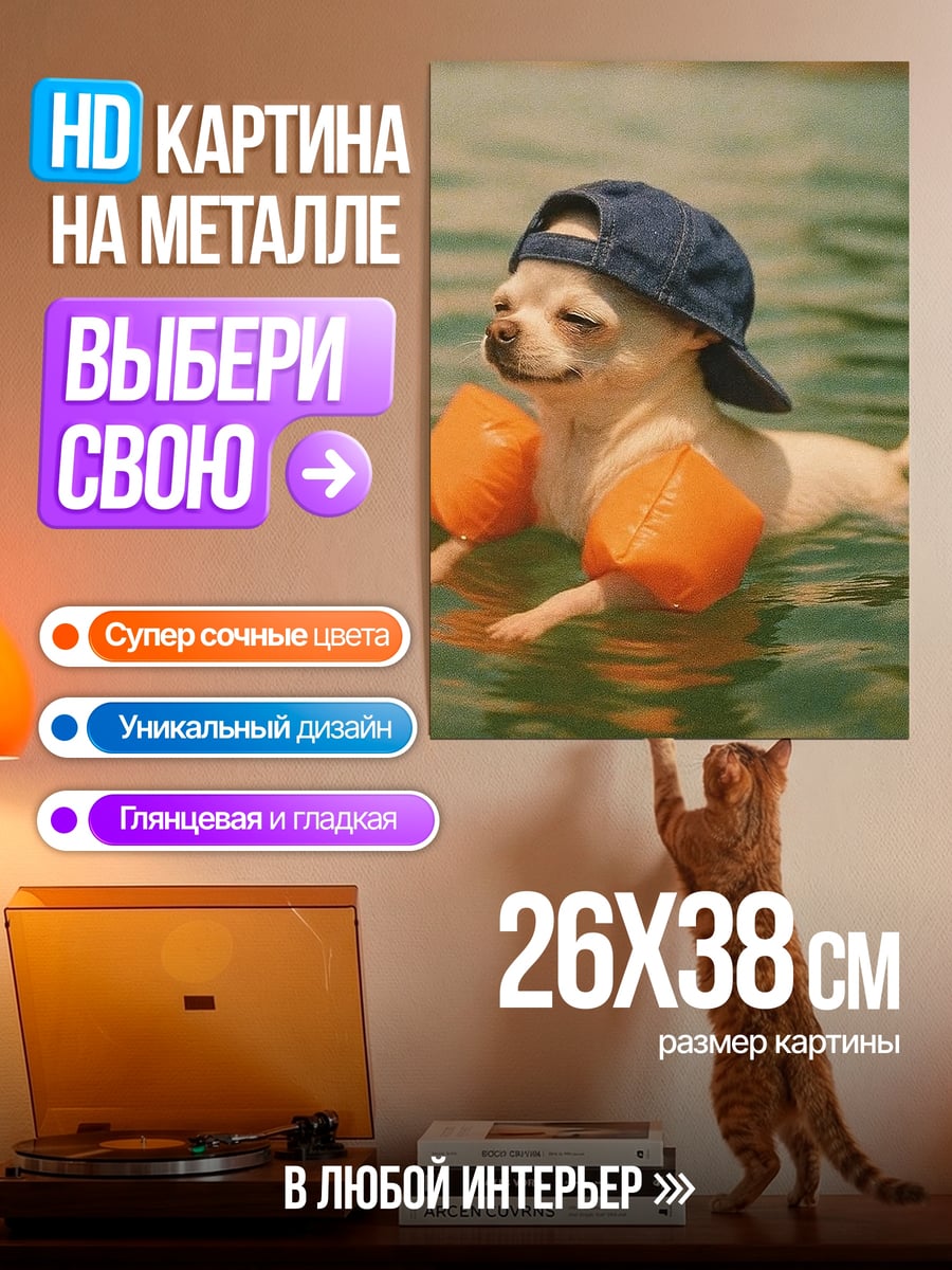 Картина на металле Чихуахуа в бассейне