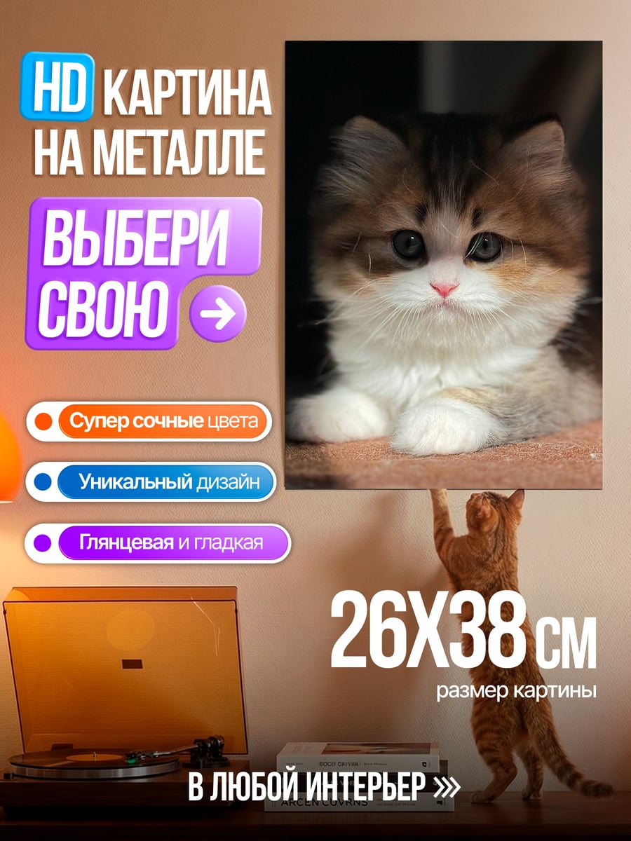 Картина на металле Пушистый котенок