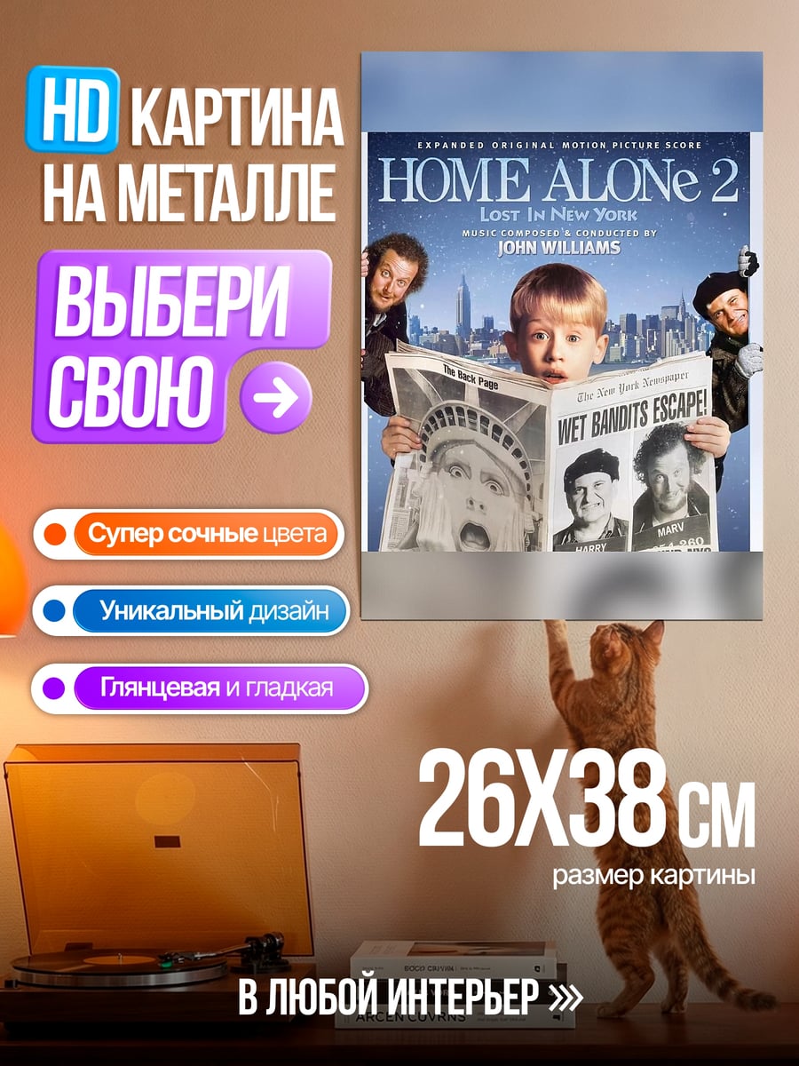 Картина на металле Один дома 2