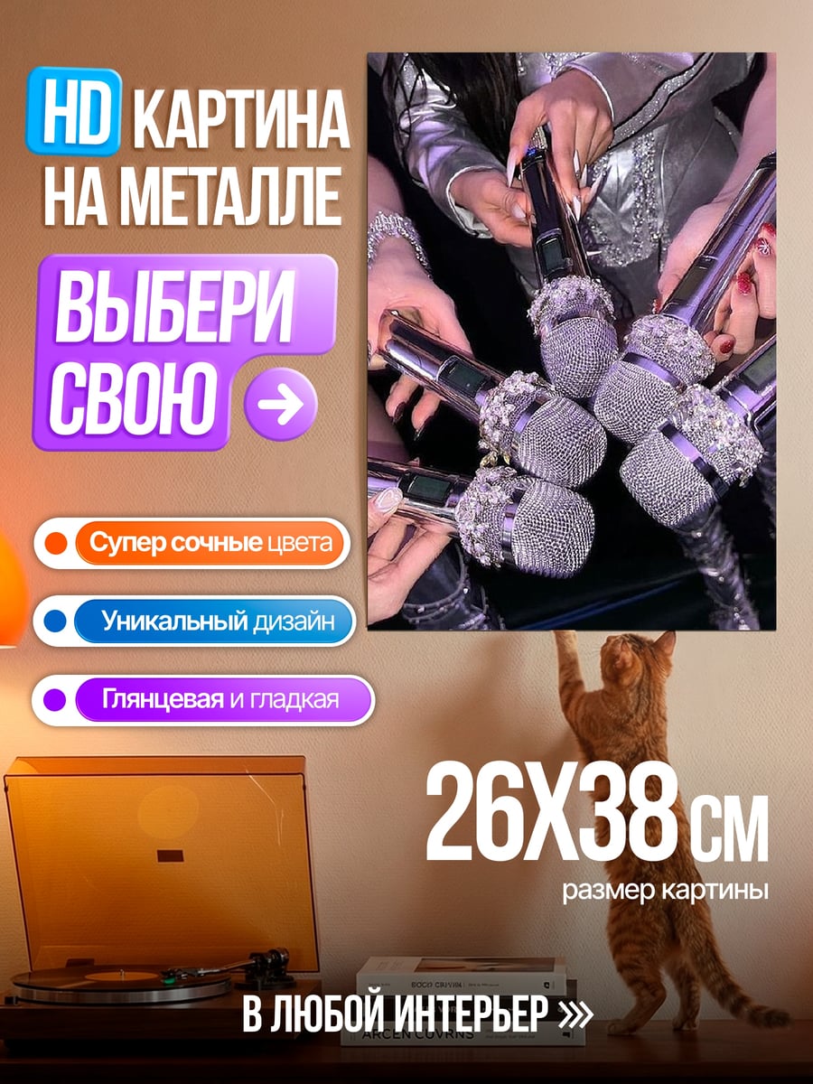 Картина на металле девушки с микрофонами