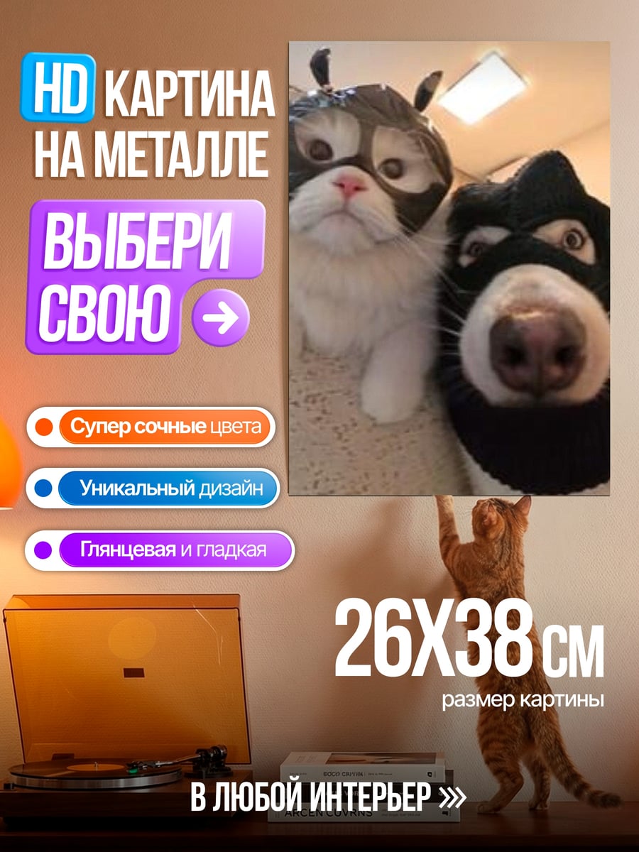 Картина на металле Кошки в масках