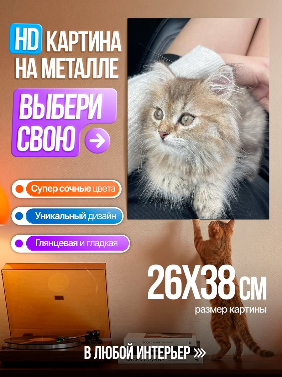 Картина на металле Пушистый котенок