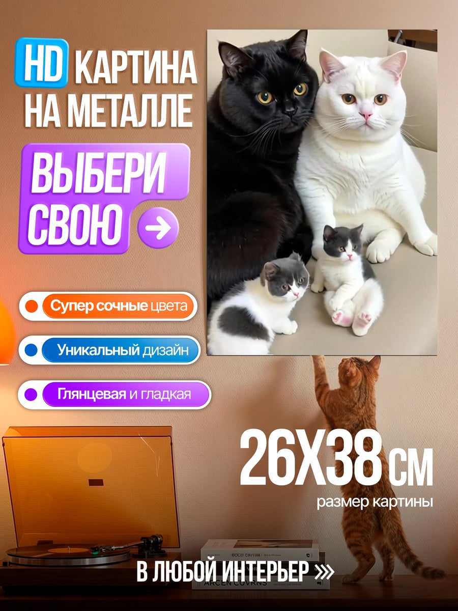 Картина на металле Черный и белый коты