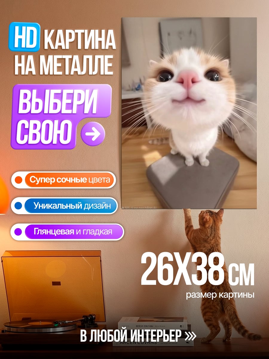 Картина на металле Забавный котик крупным планом