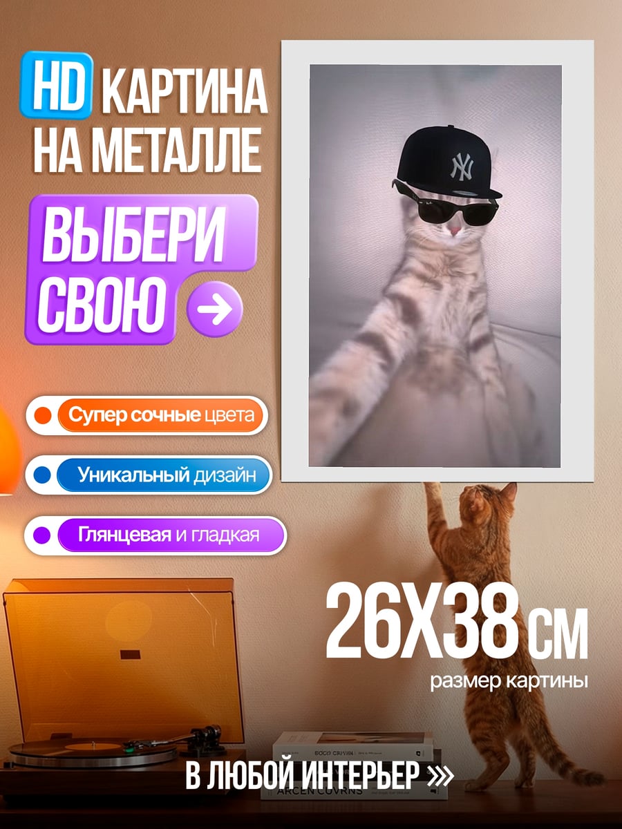 Картина на металле Кот в кепке