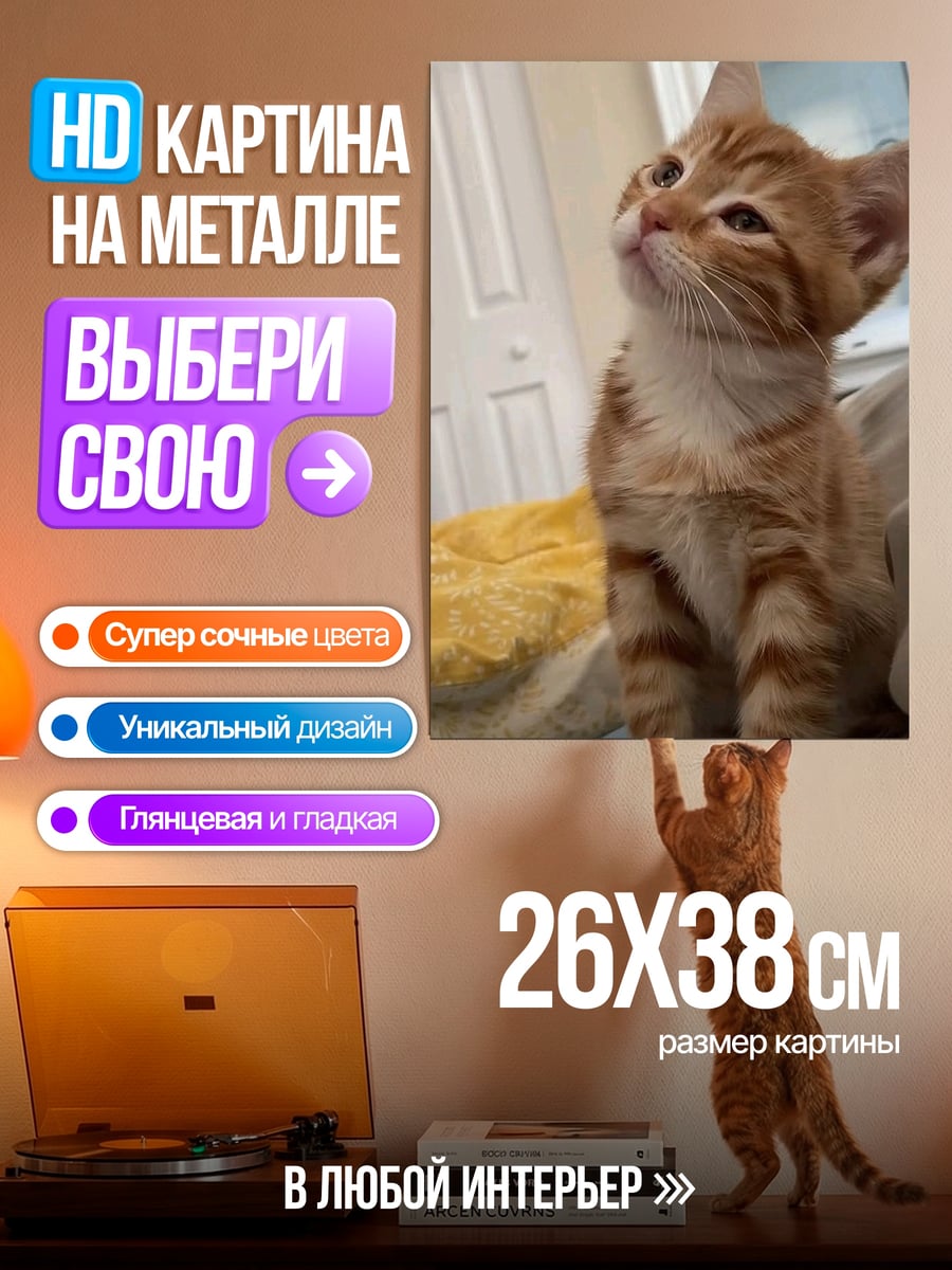 Картина на металле Рыжий котенок
