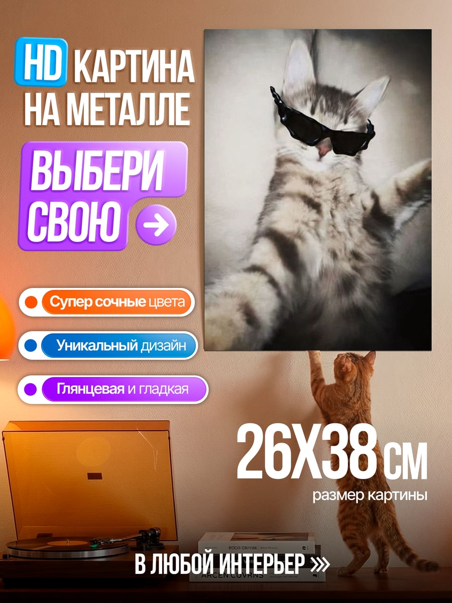 Картина на металле Кот в очках