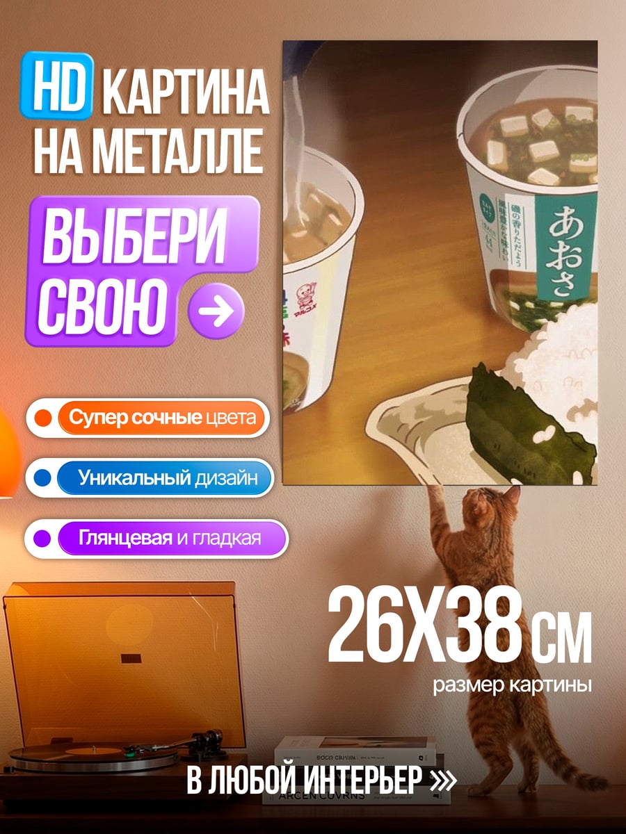 Картина на металле Суп и онигири