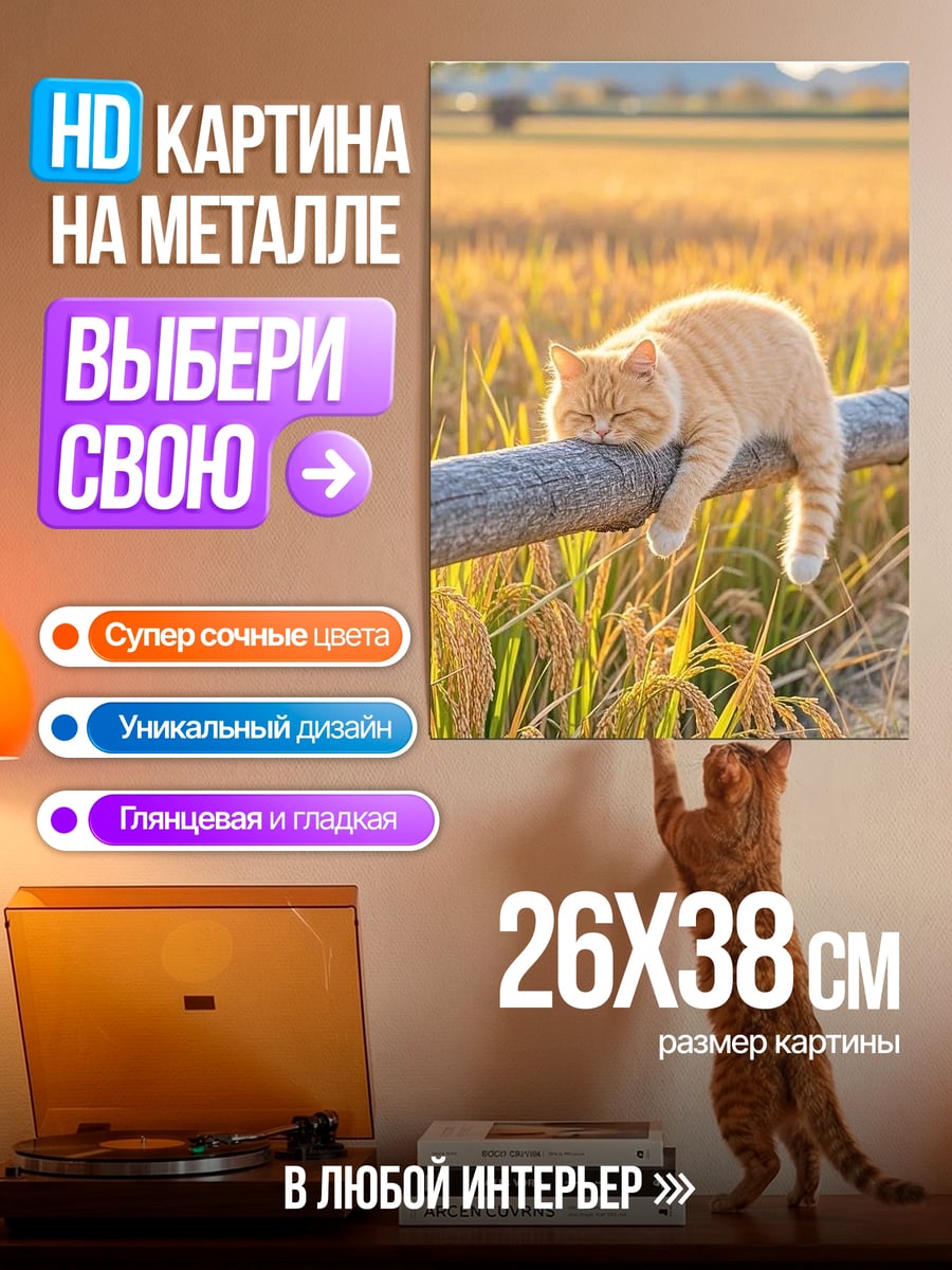 Картина на металле Кот спит на заборе