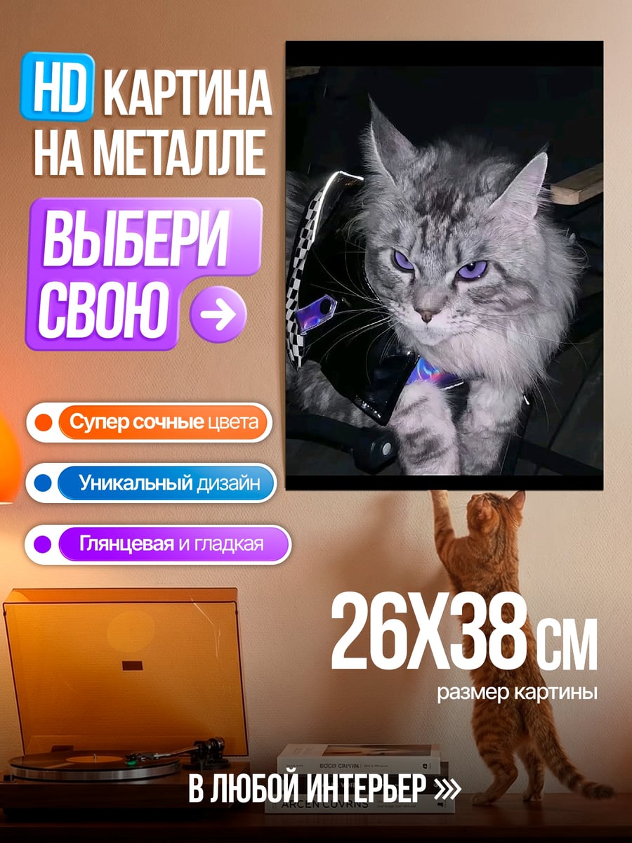 Картина на металле Серый кот в броне