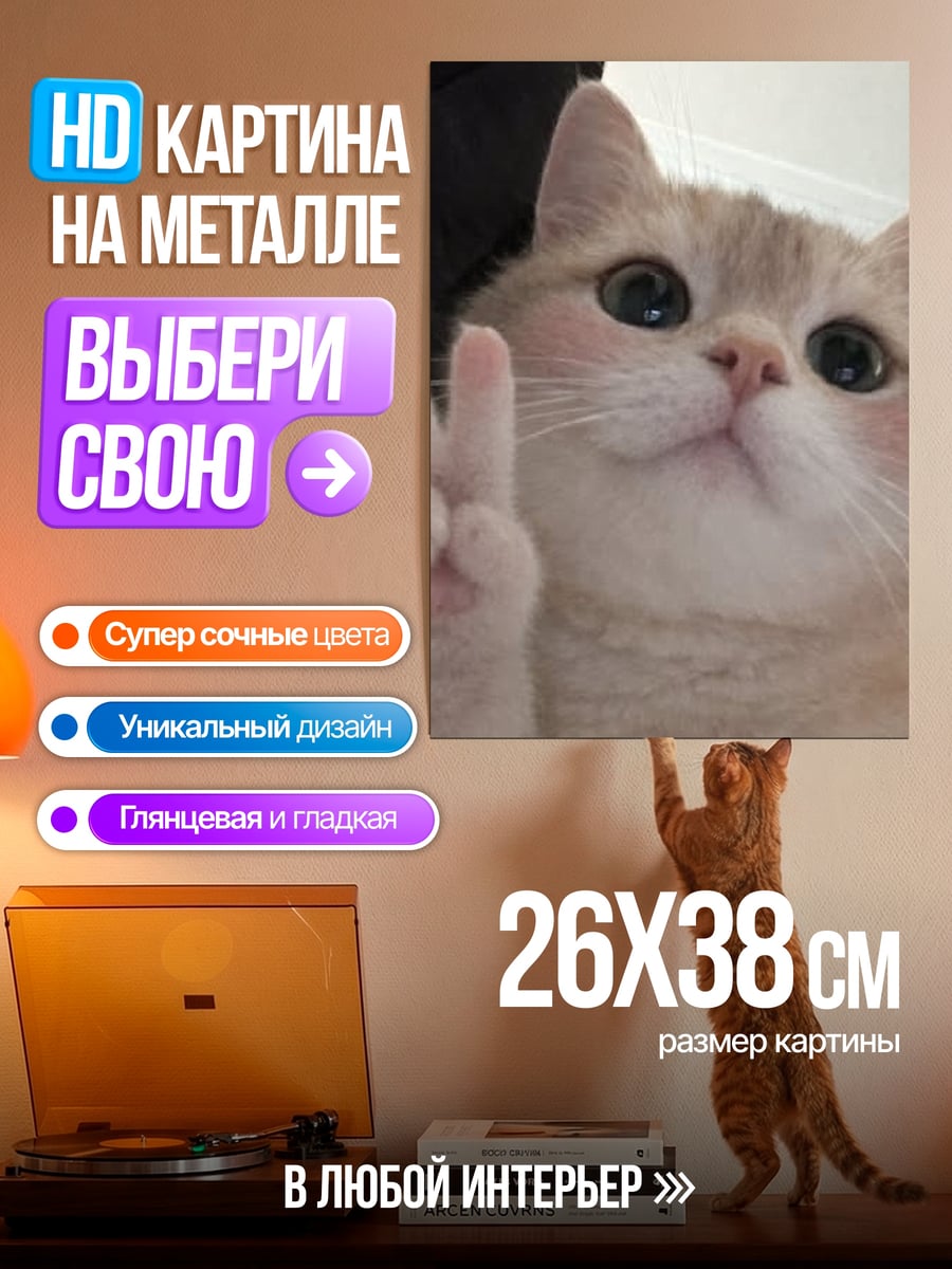 Картина на металле Кот показывает знак мира