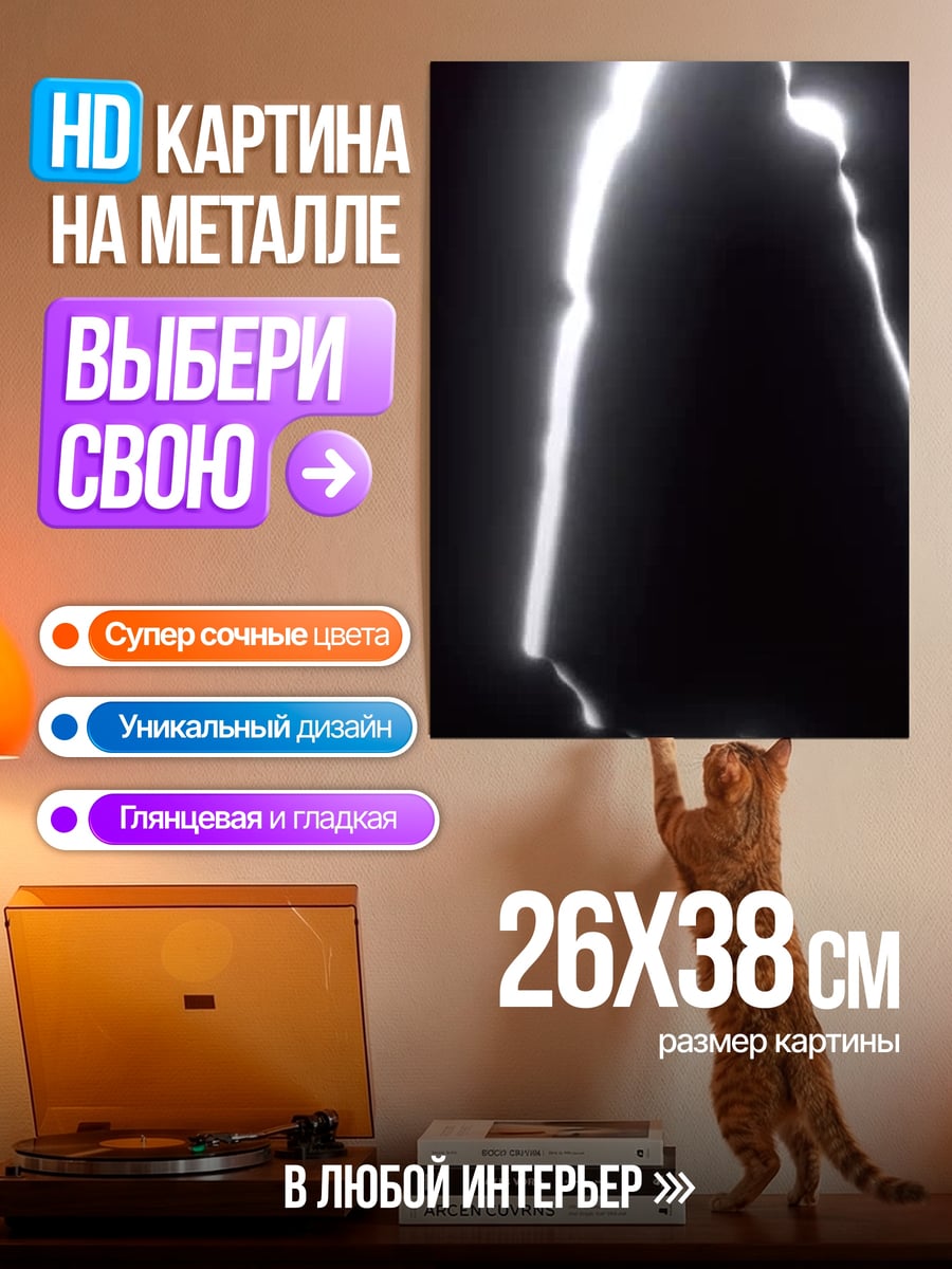 Картина на металле Силуэт в свете