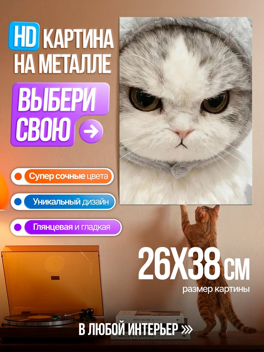 Картина на металле Сердитый котик в капюшоне