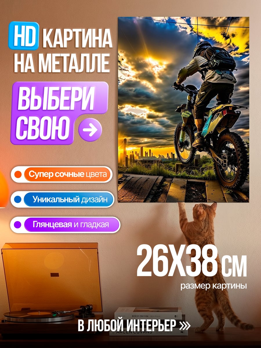 Картина на металле Мотоциклист на закате
