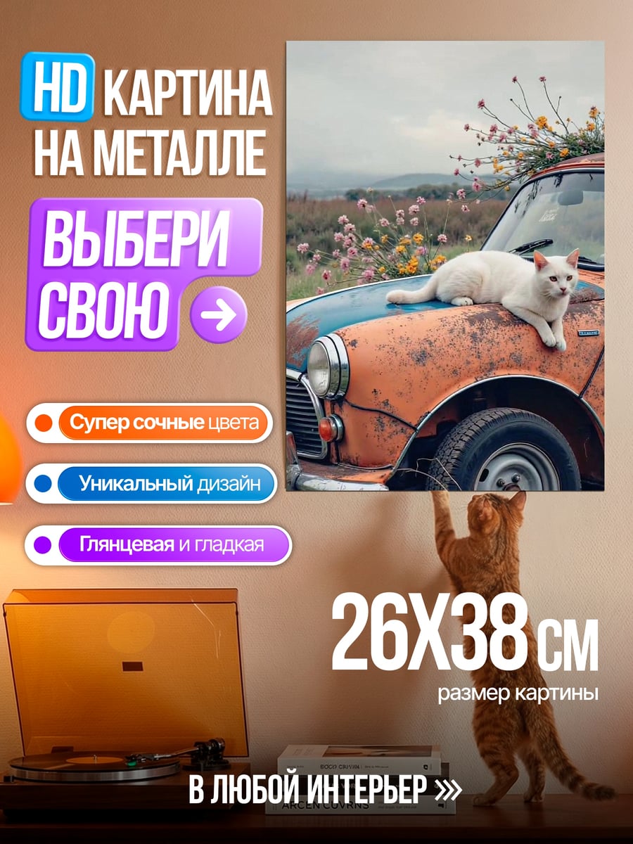 Картина на металле Белый кот на машине