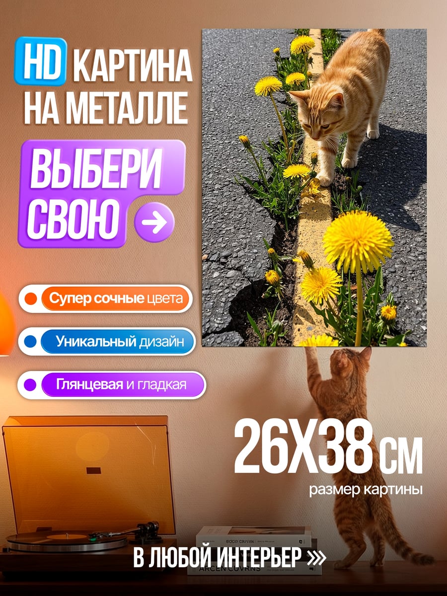 Картина на металле Кот и одуванчики