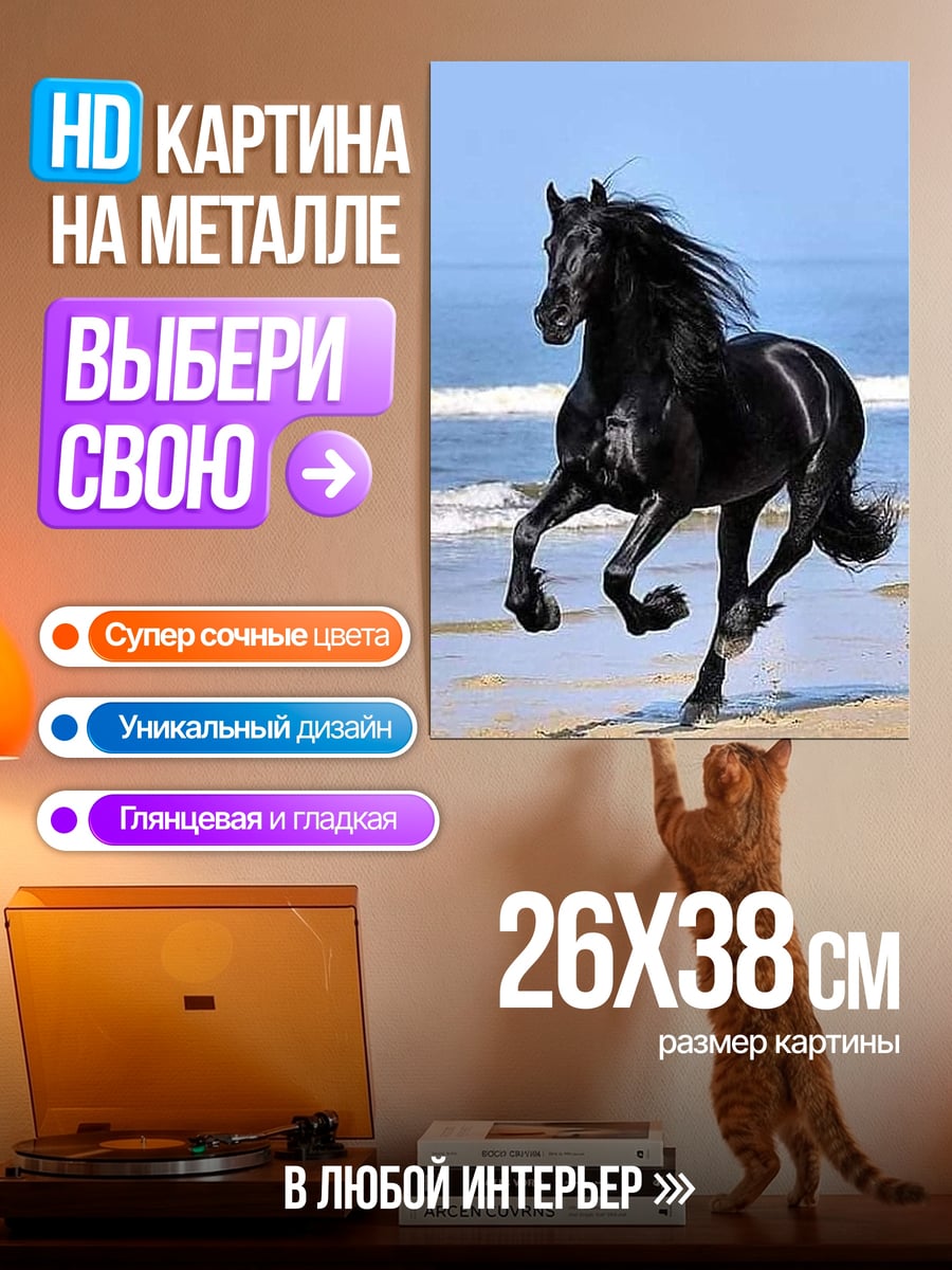 Картина на металле Черный конь на пляже