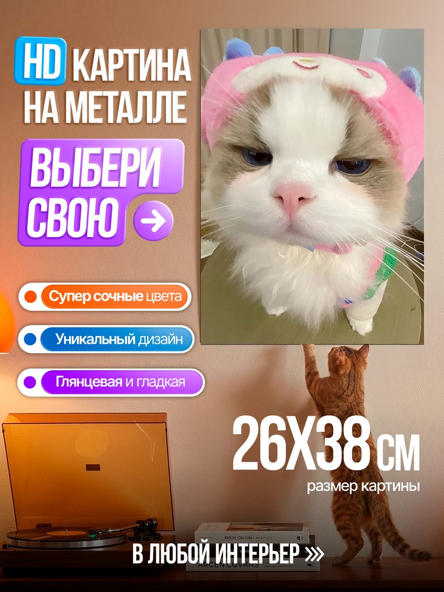 Картина на металле Кот в шапке