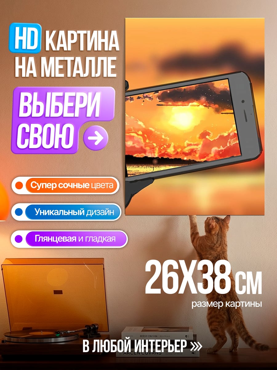 Картина на металле Телефон снимает закат