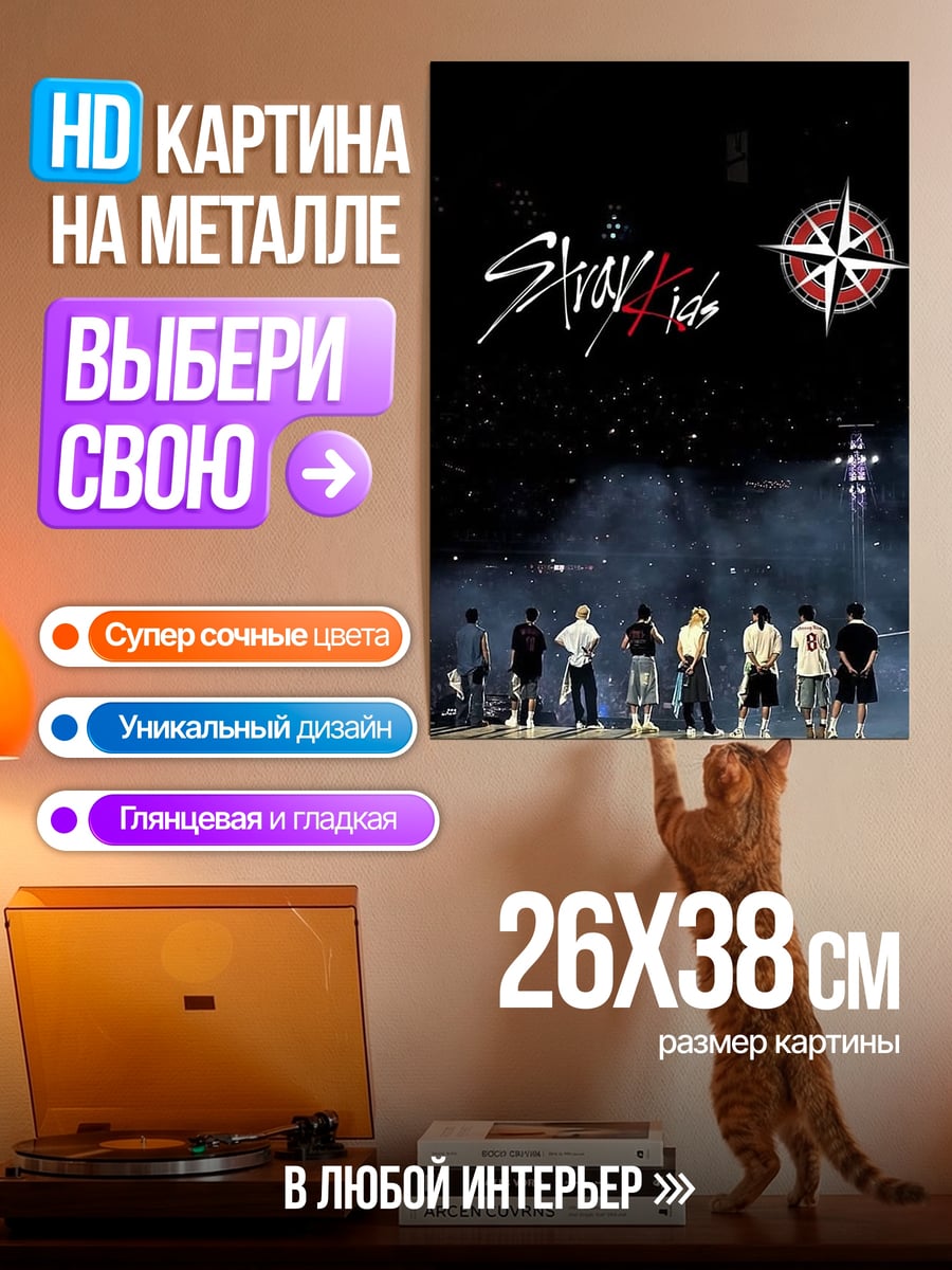 Картина на металле Stray Kids концерт