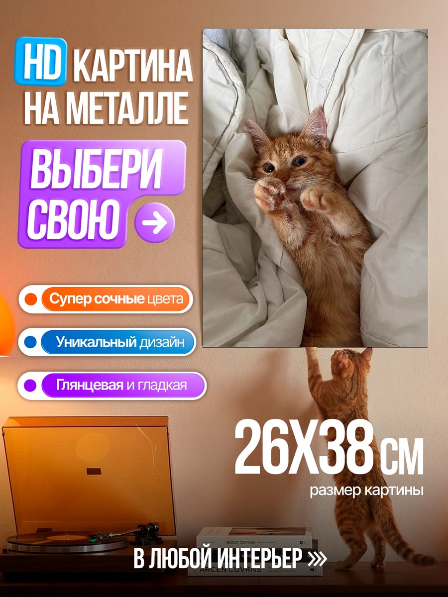 Картина на металле Рыжий кот в одеяле
