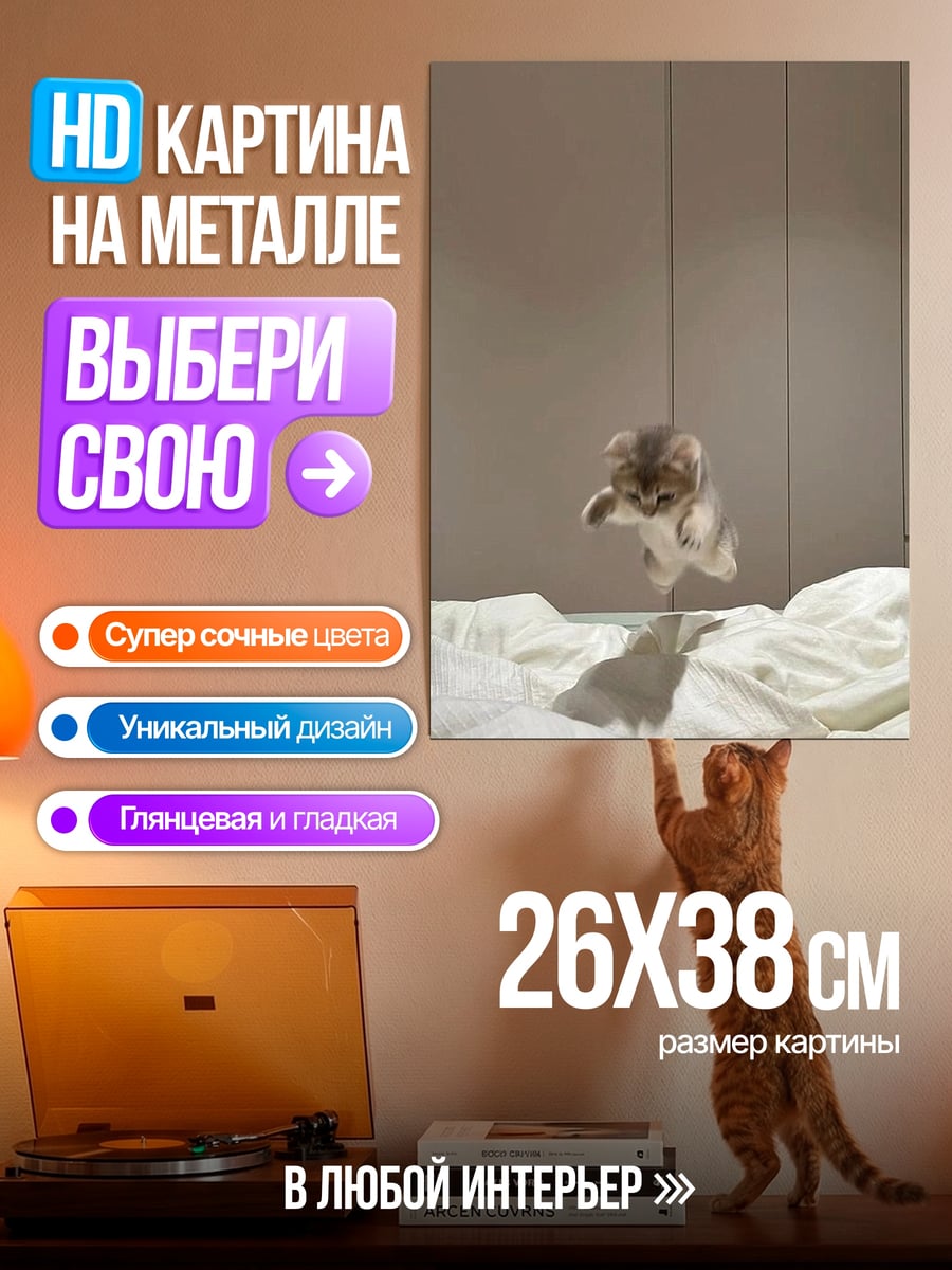 Картина на металле Прыгающий котенок