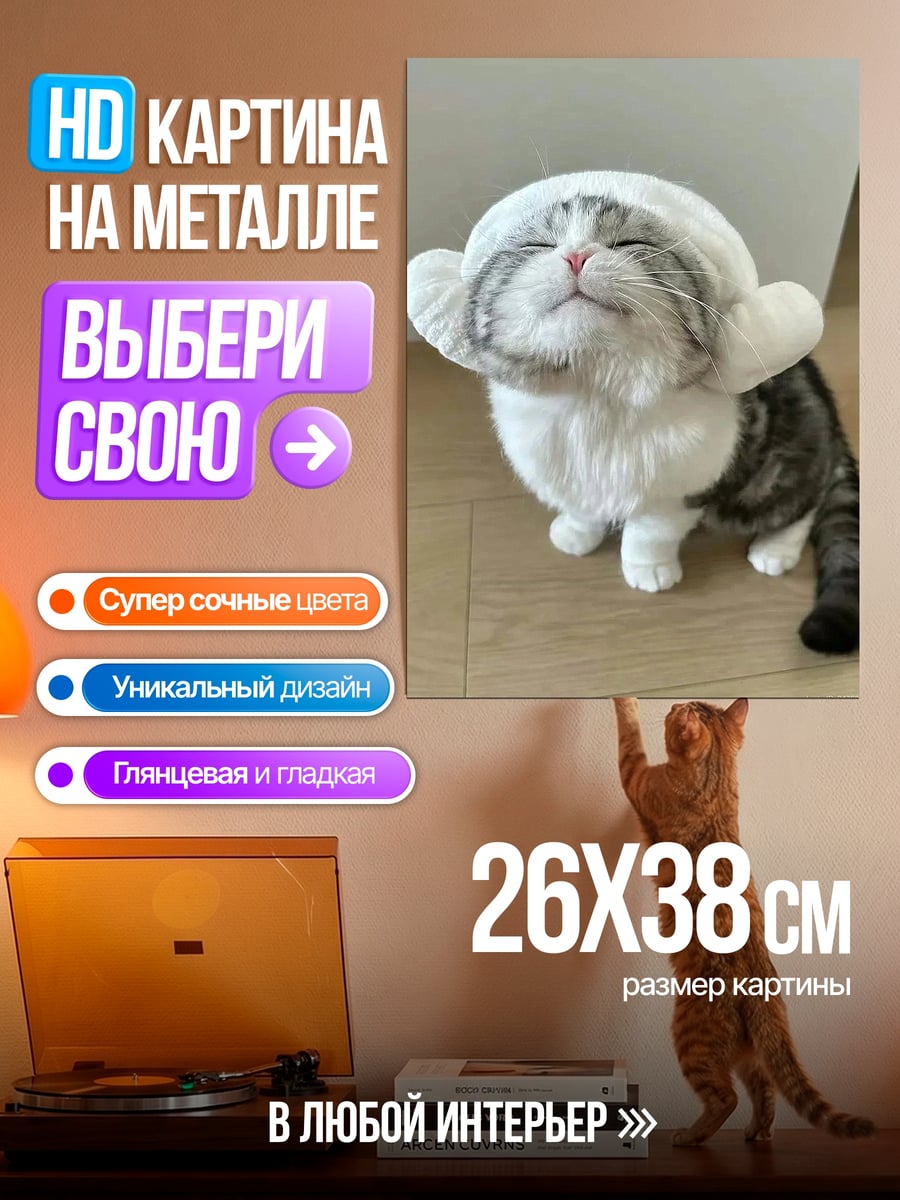 Картина на металле Счастливый котик в шапке