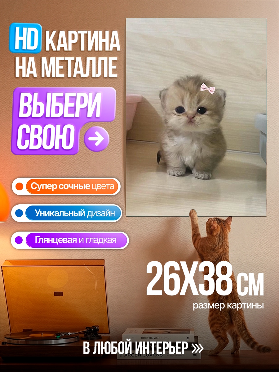 Картина на металле Милый котенок с бантиком