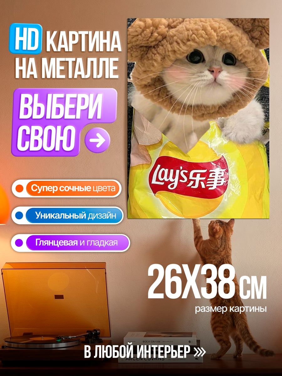 Картина на металле Кот в мешке чипсов