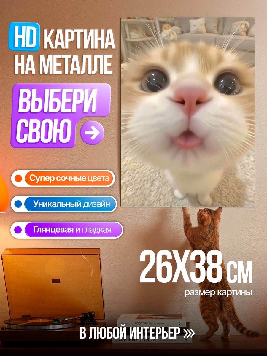 Картина на металле Забавный котик
