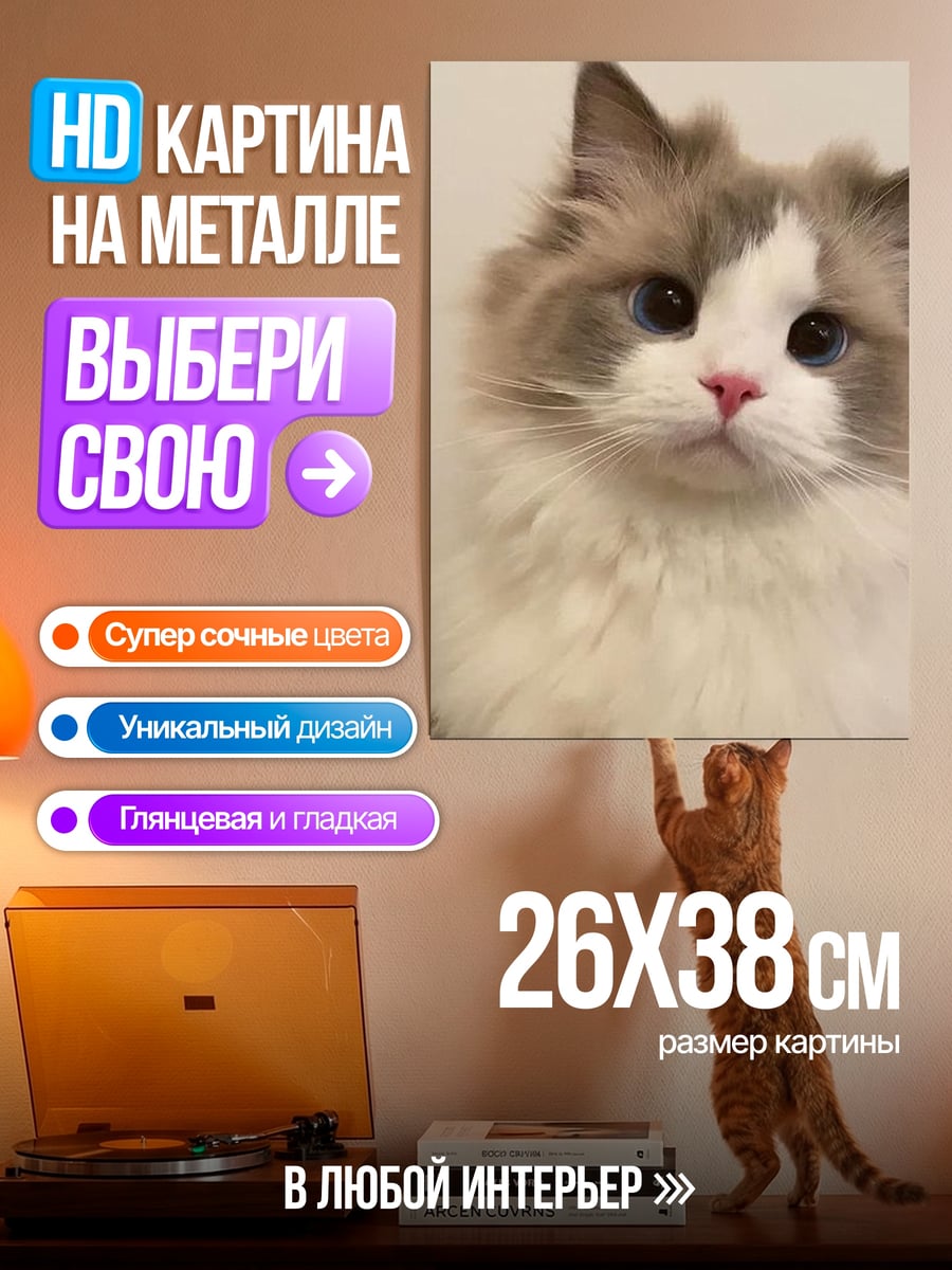 Картина на металле Пушистый кот