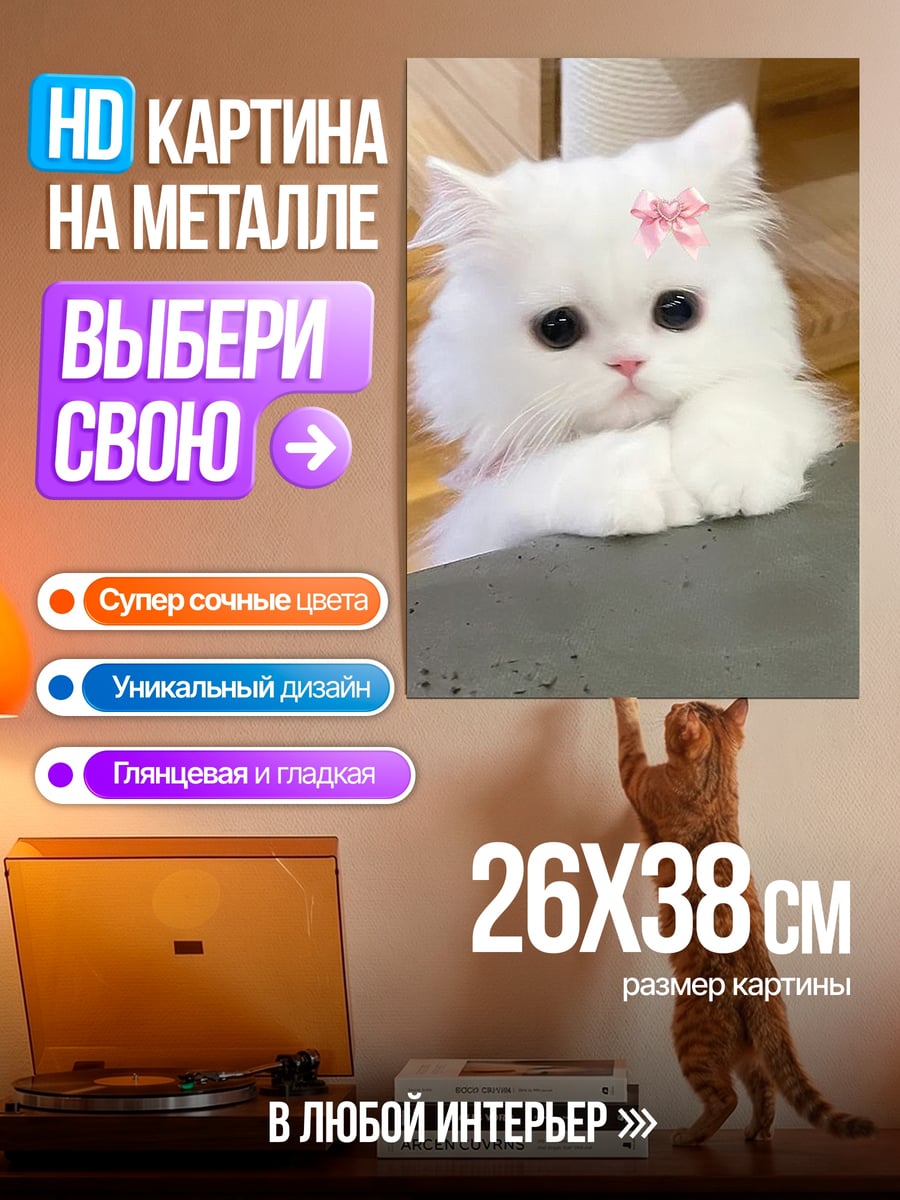 Картина на металле Белый котенок с бантиком
