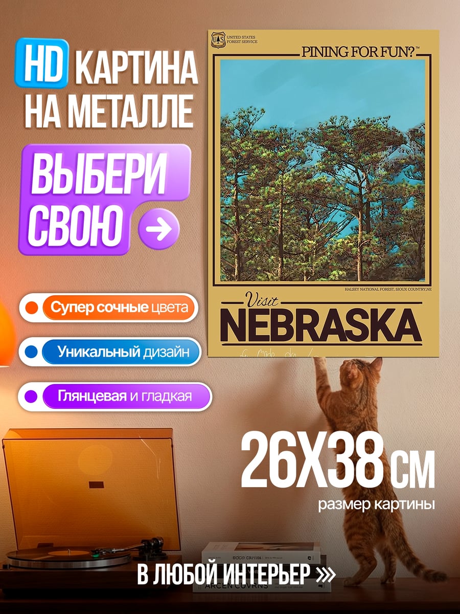 Картина на металле Поездка в Небраску