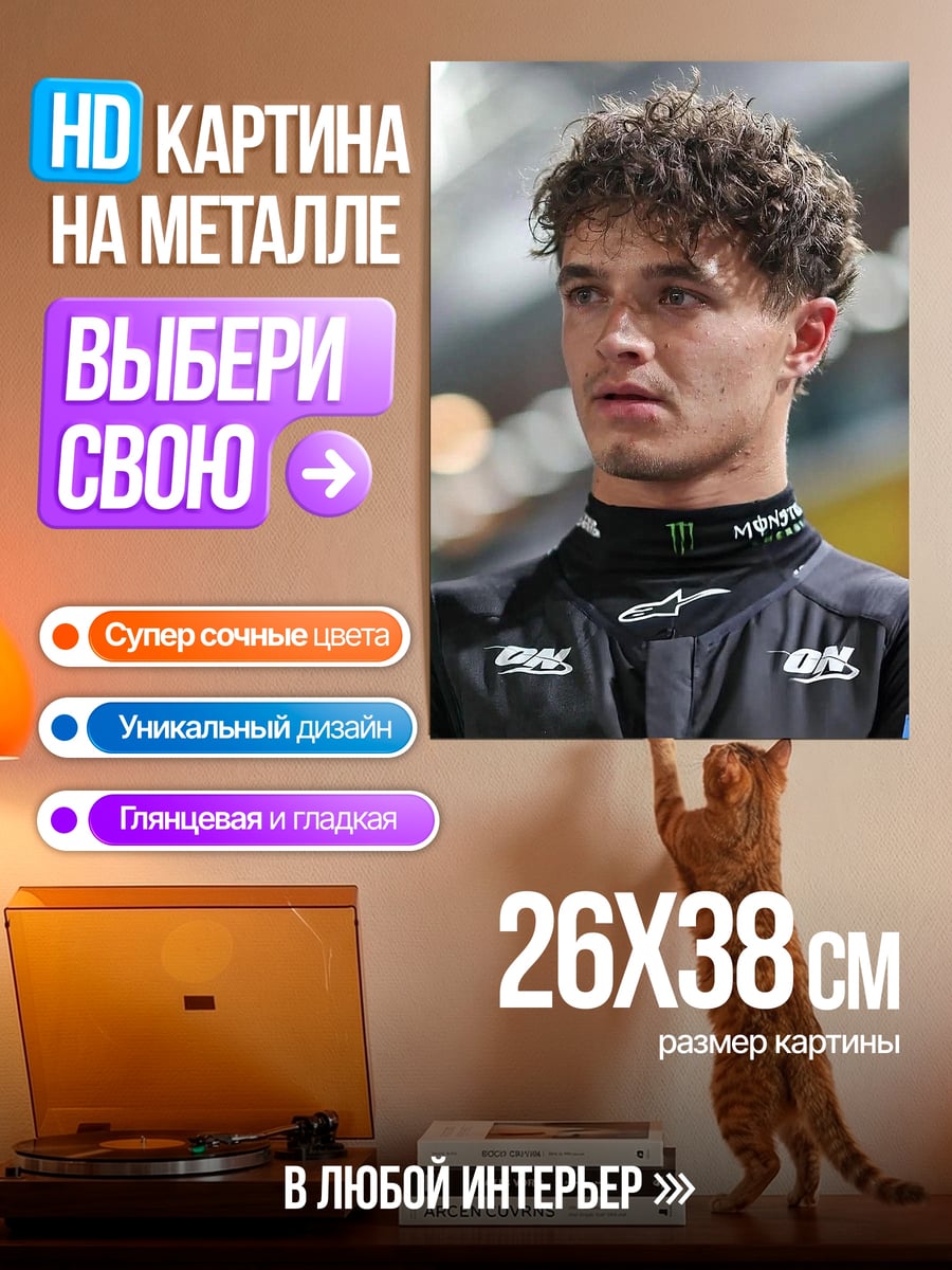 Картина на металле Ландо Норрис портрет