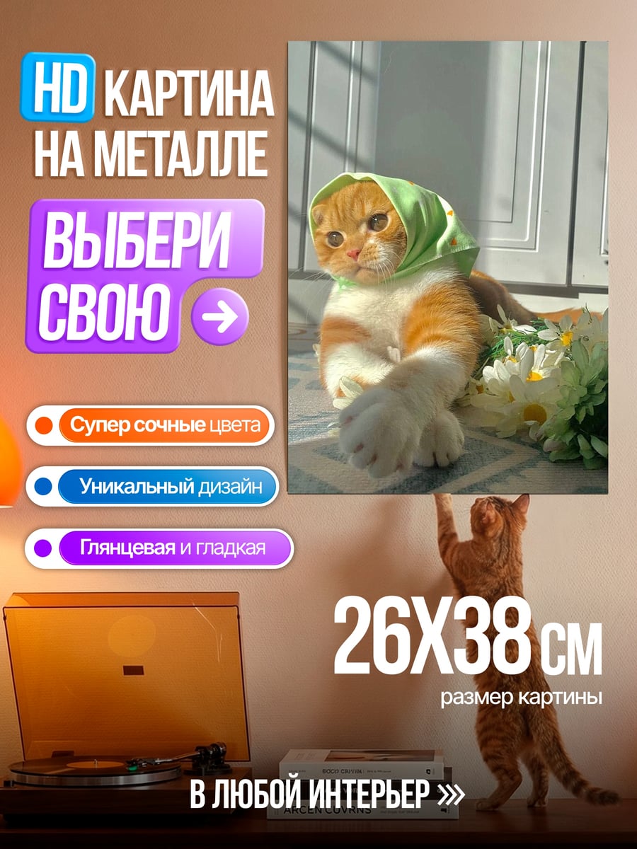 Картина на металле Кот в платке