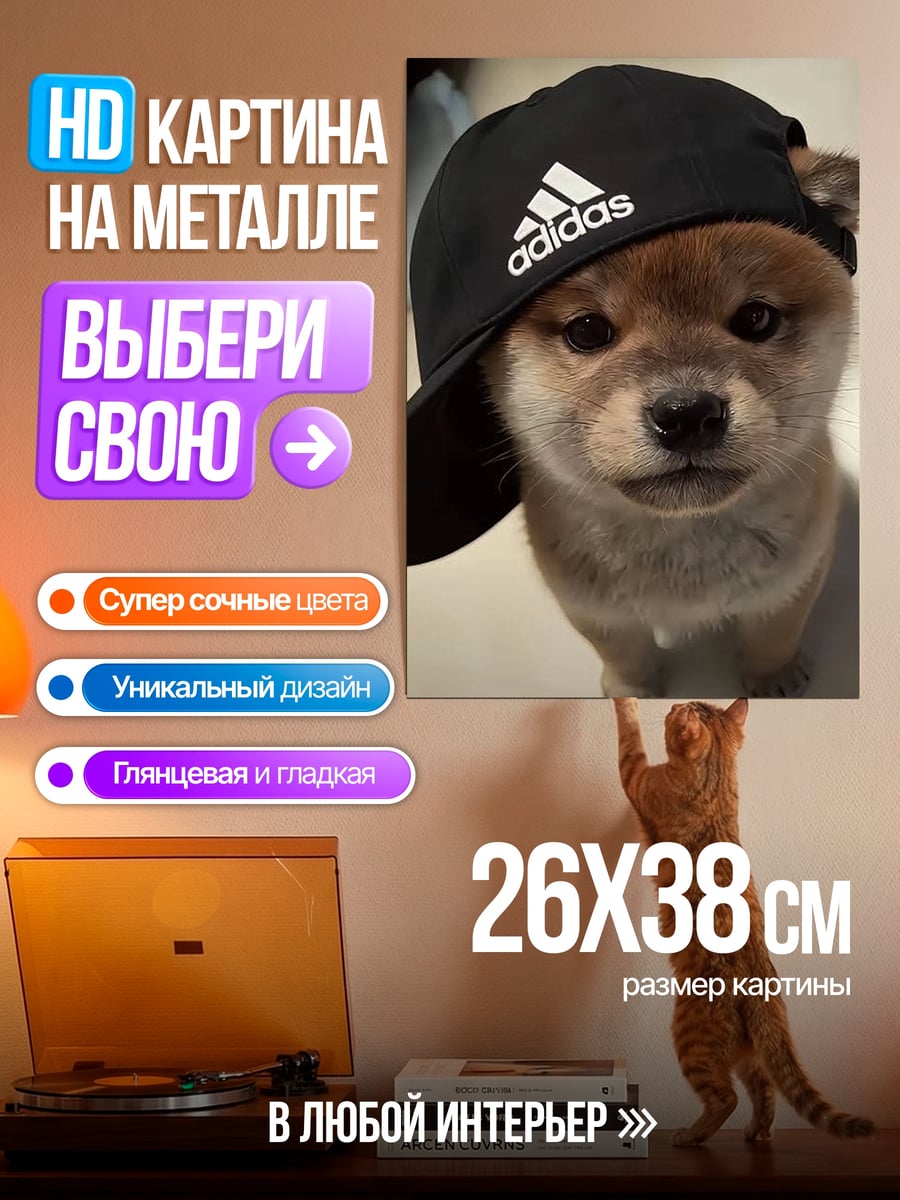 Картина на металле Щенок в кепке